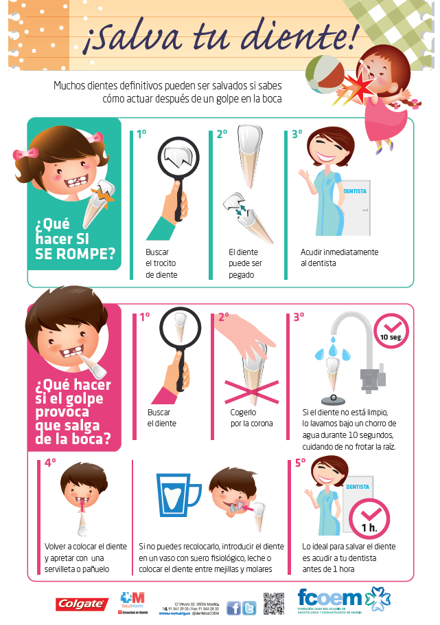 Salvar tu diente Salvar tu diente